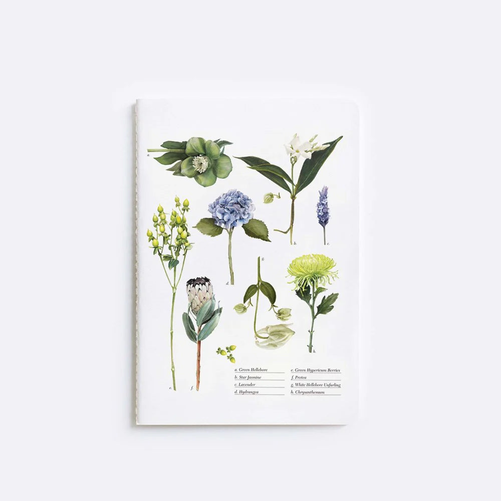 FATHER RABBIT STATIONERY | A5 NOTEBOOKS