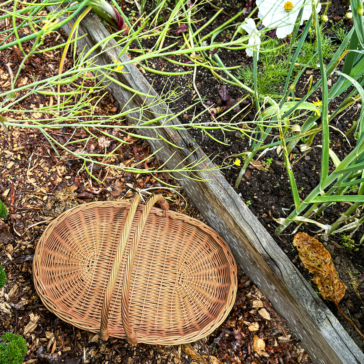 DAHLIA | GARDEN &amp; FLOWER TRUG