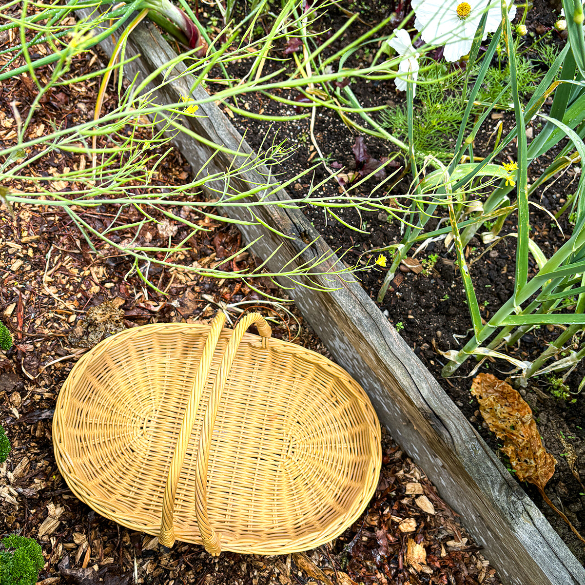 DAHLIA | GARDEN &amp; FLOWER TRUG