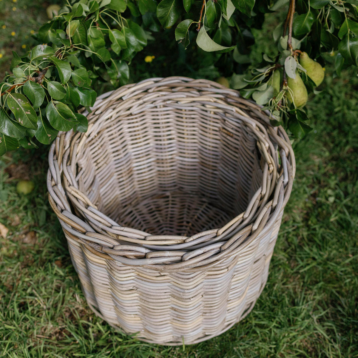 ROUND RATTAN BASKET | BUNDLE