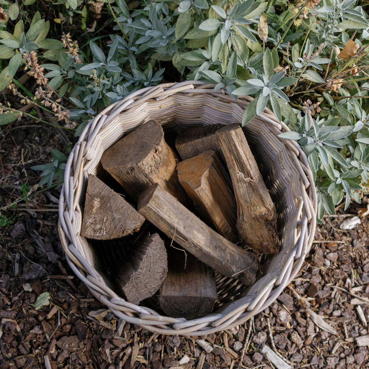 Wicker basket filled with wooden logs on a natural ground cover