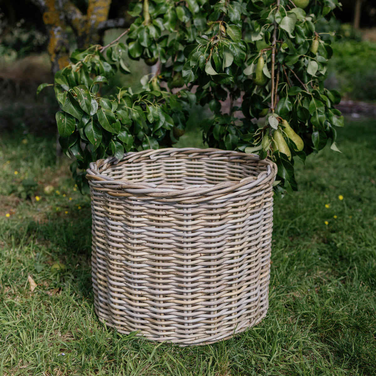 GEORGE | LARGE RATTAN BASKET