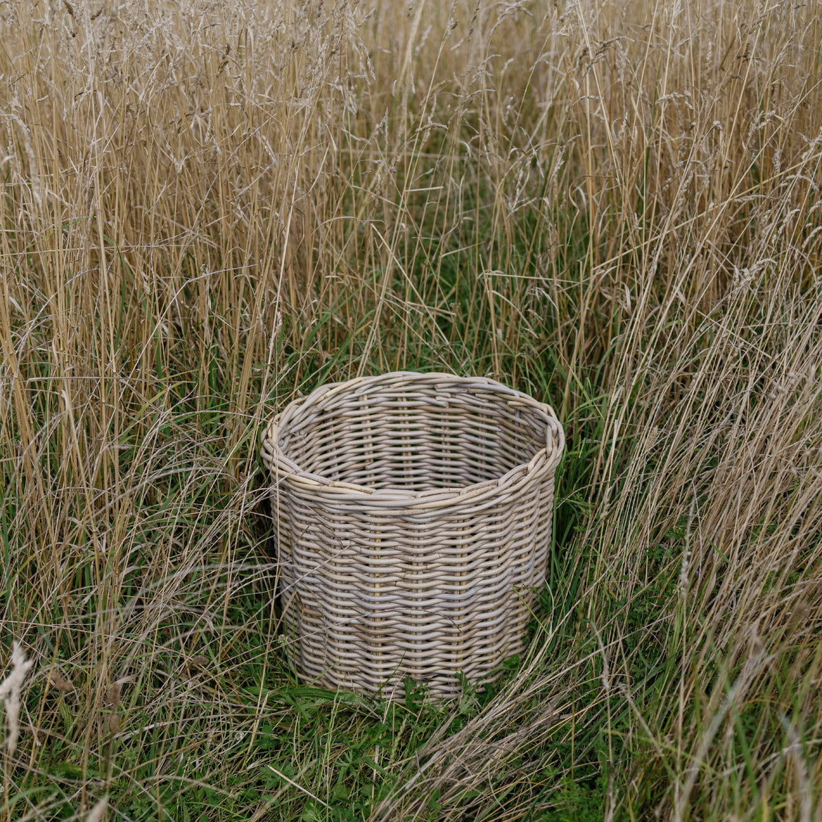 Wicker basket in a field of tall grass