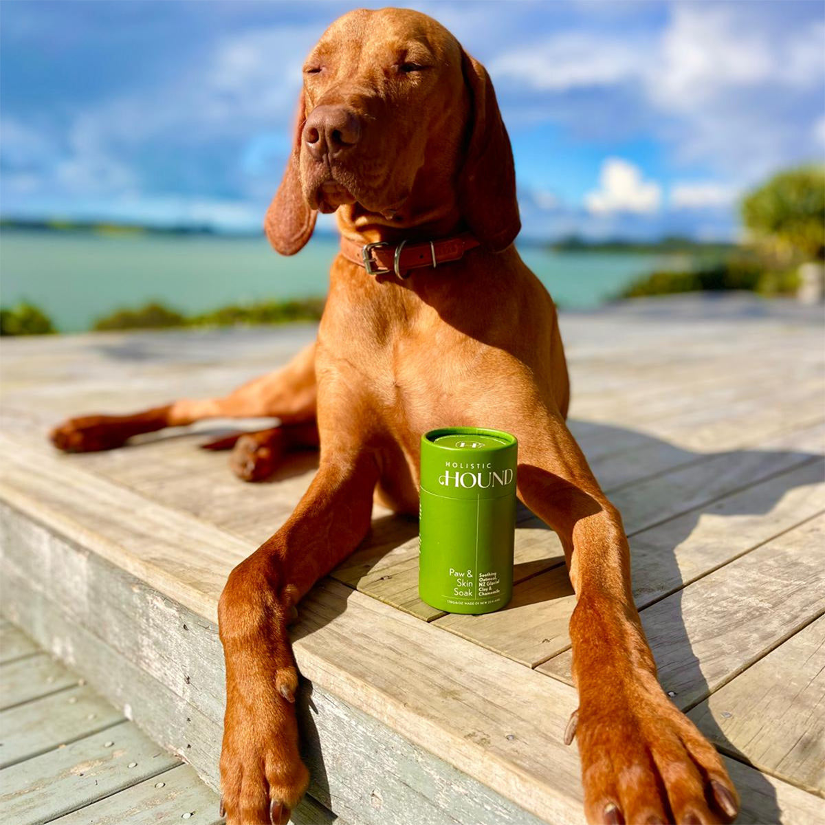 HOLISTIC HOUND | PAW & SKIN SOAK