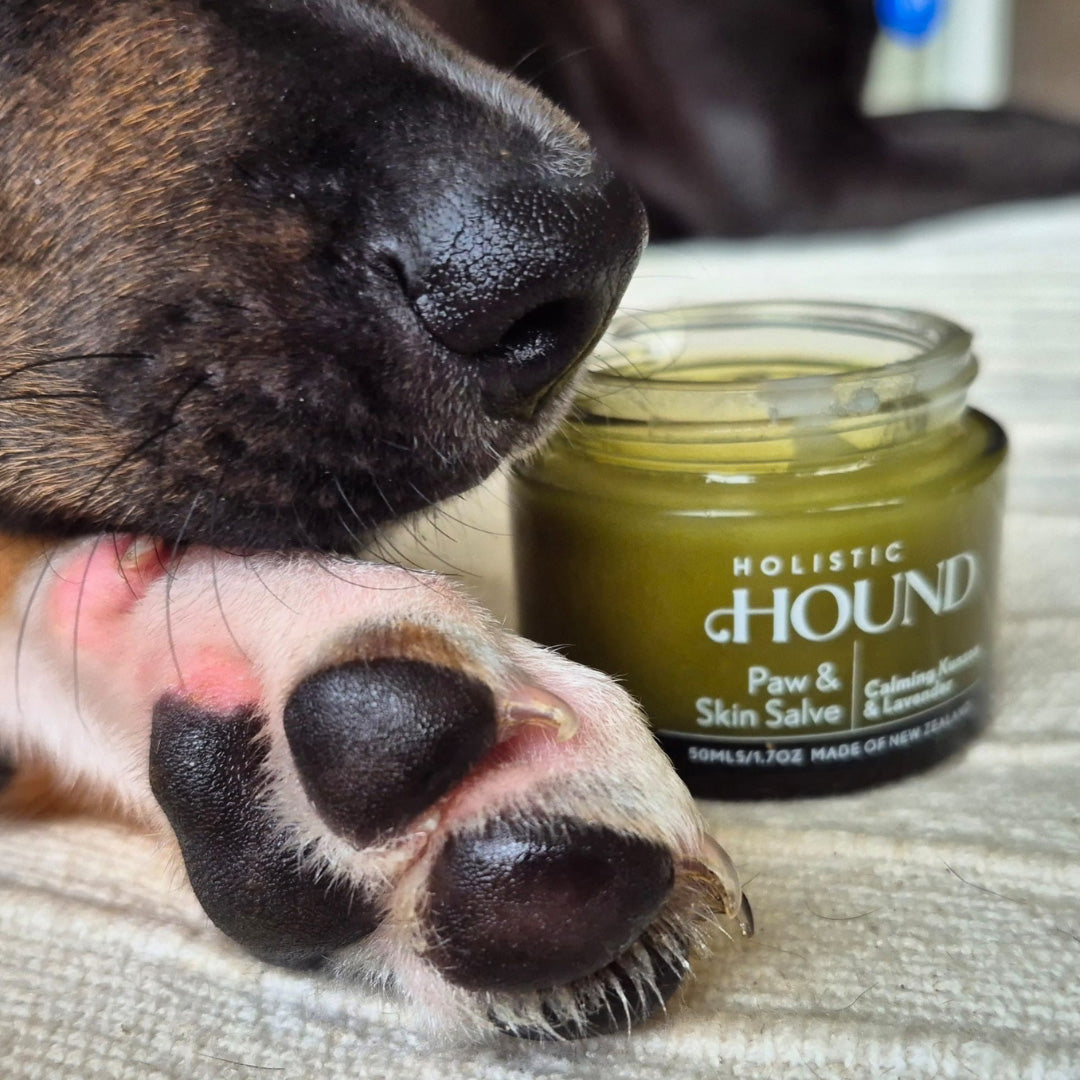 HOLISTIC HOUND | PAW & SKIN SALVE