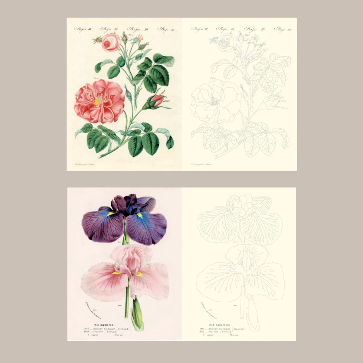 JOHN DERIAN COLOURING BOOK FLOWERS
