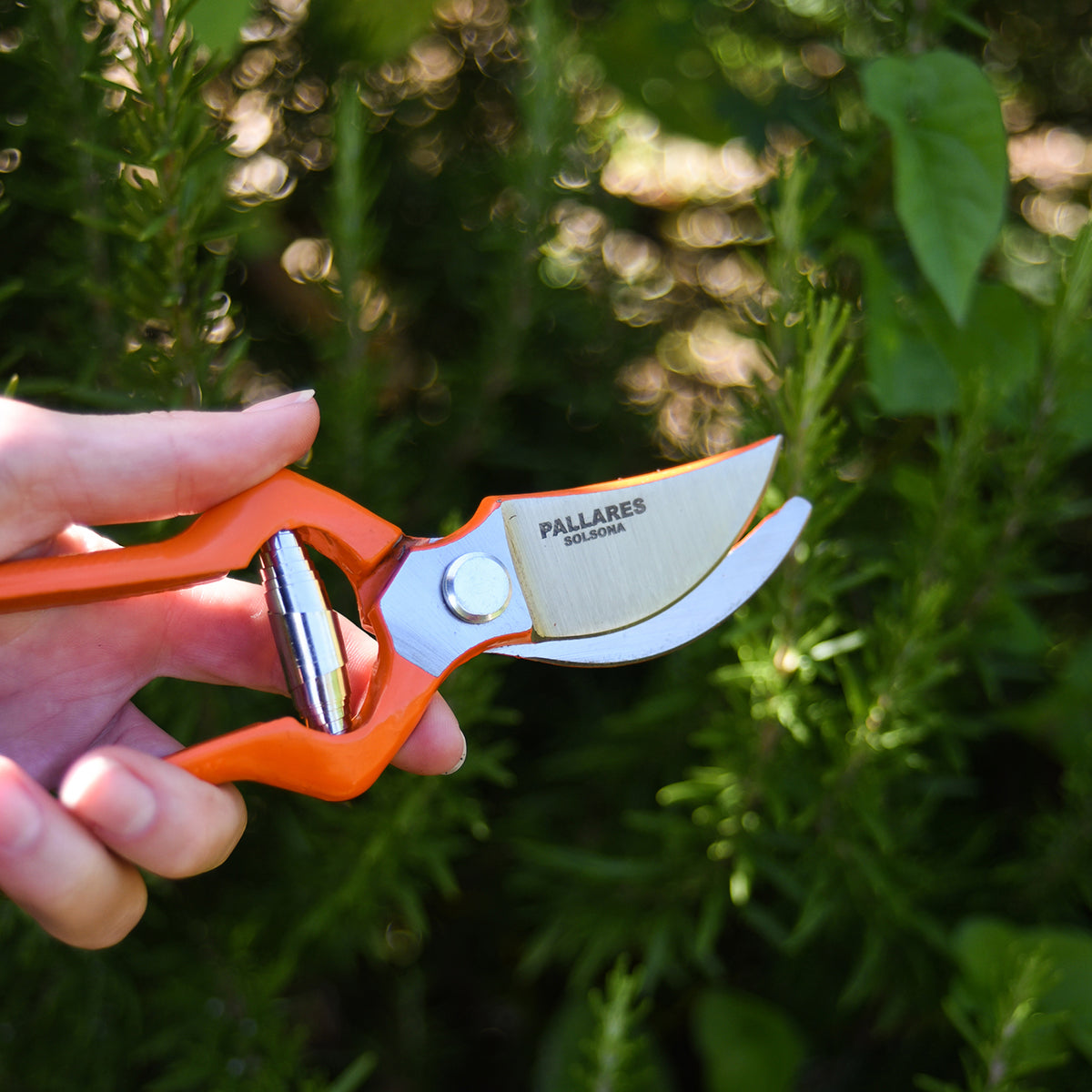 PALLARÈS PRUNING SHEARS | CARBON STEEL