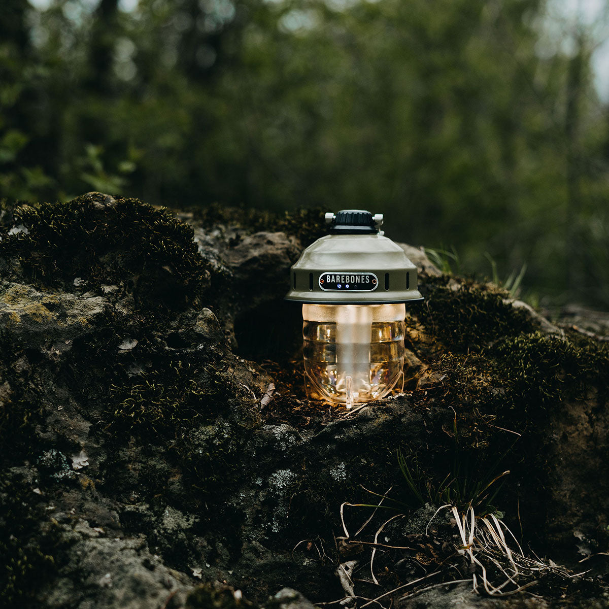 BAREBONES | BEACON LANTERN | OLIVE