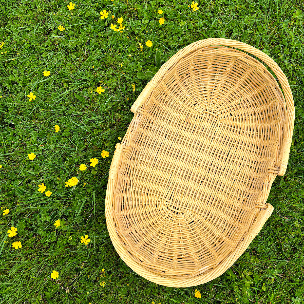 DAHLIA | GARDEN &amp; FLOWER TRUG