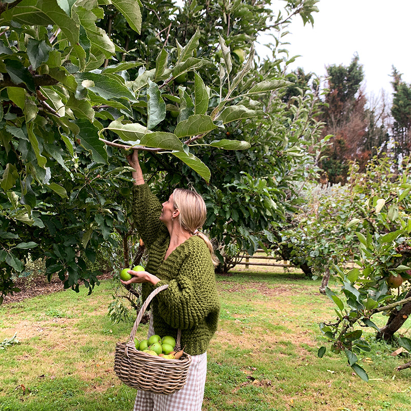 rattan gathering basket with handle