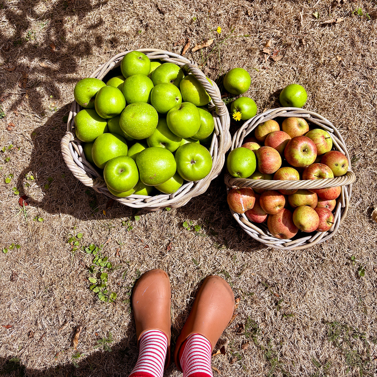 Two wicker baskets filled with green and red apples on a grassy surface, with a person&#39;s feet in striped socks visible in the foreground.