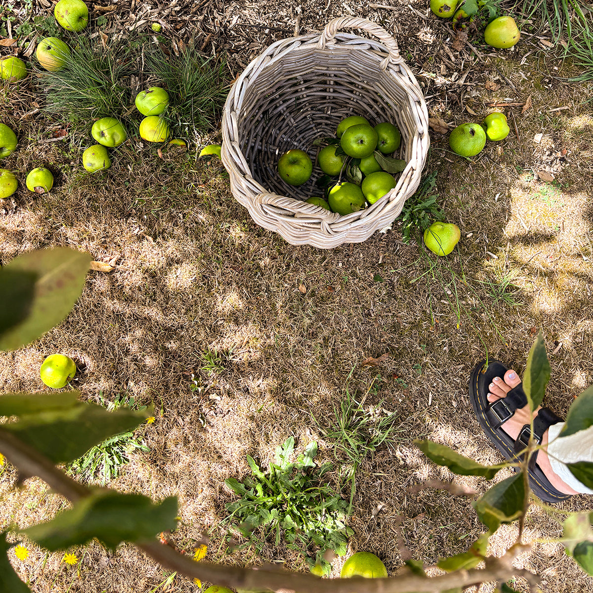 COMING SOON | ORCHARD BASKET