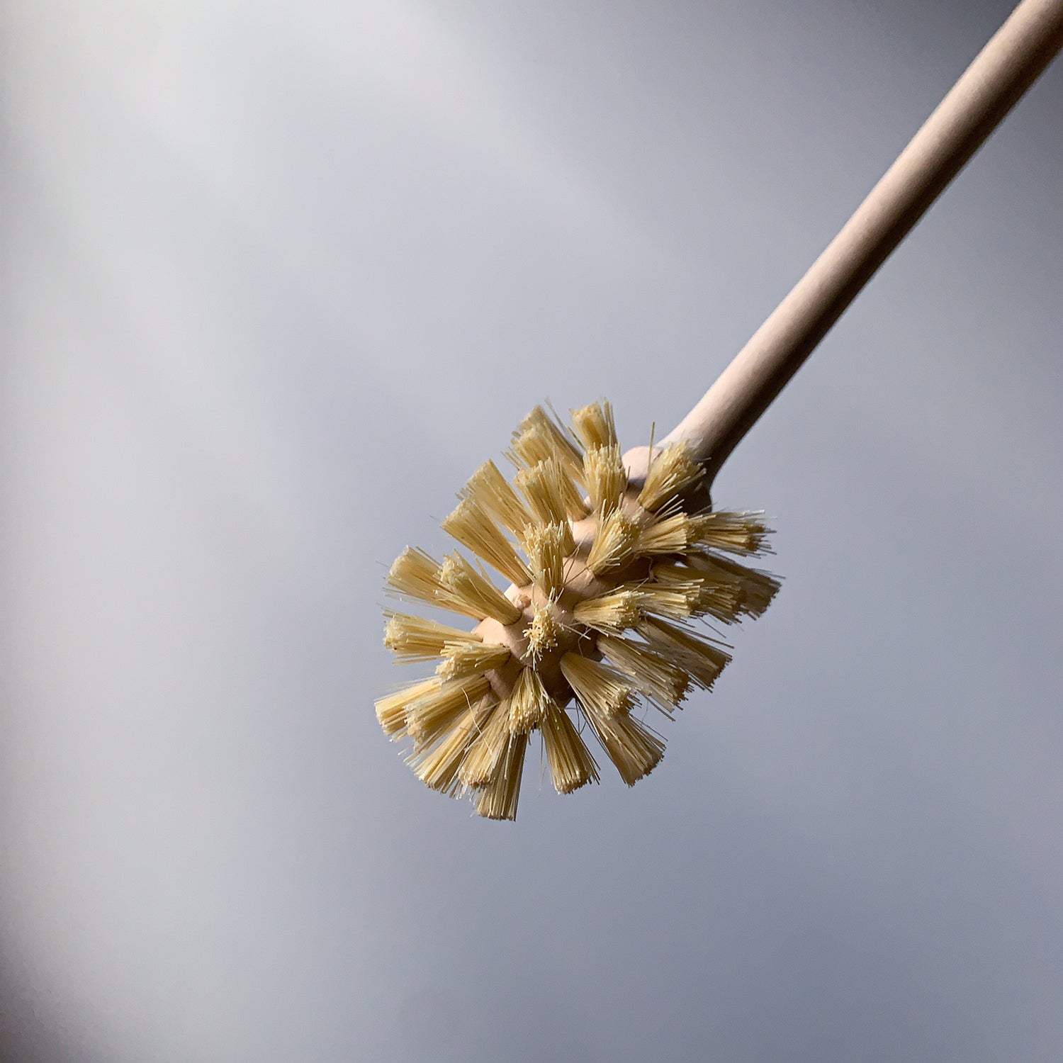 BEECHWOOD BOTTLE BRUSH
