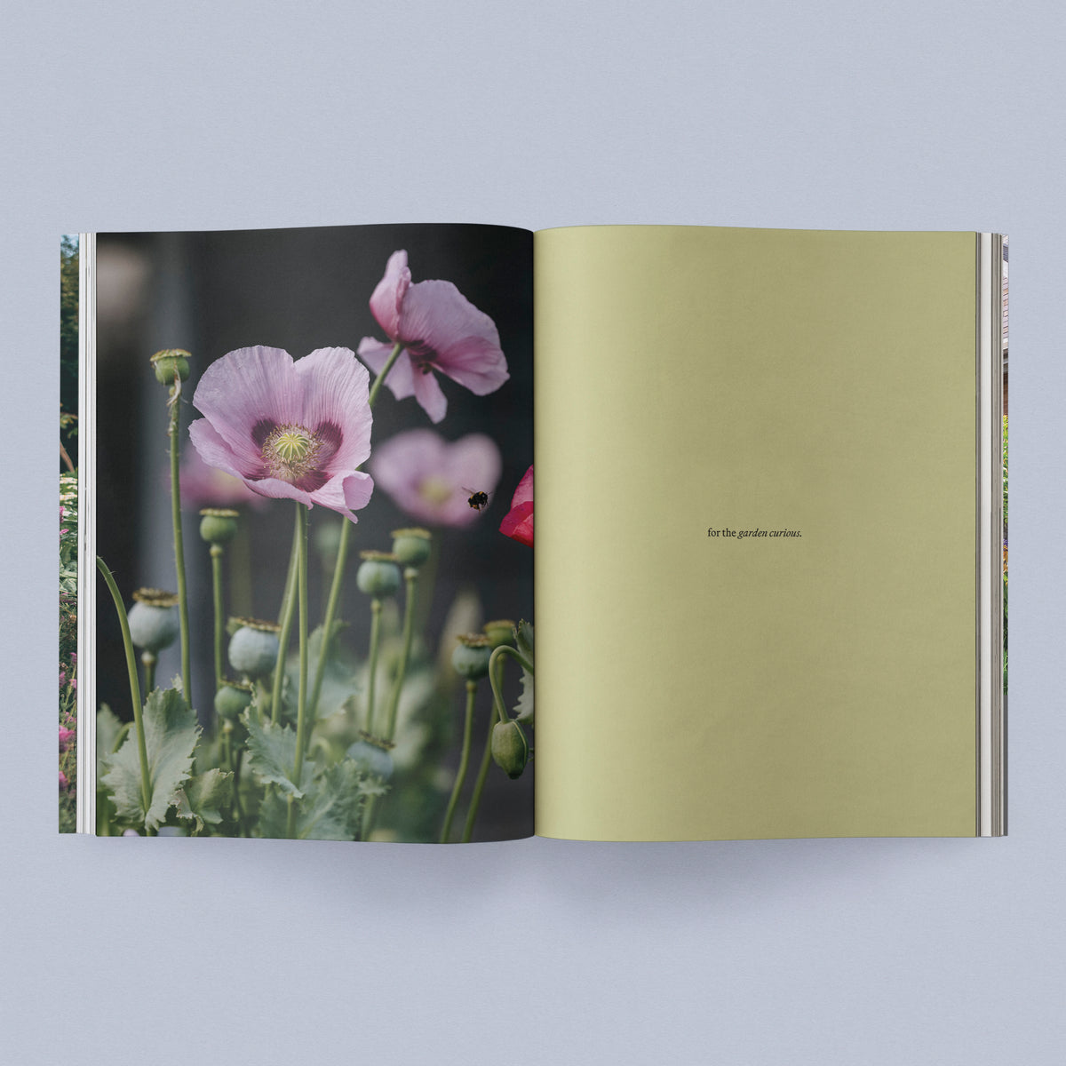 Sage Journal - Vol. 2: Our Creative Nature