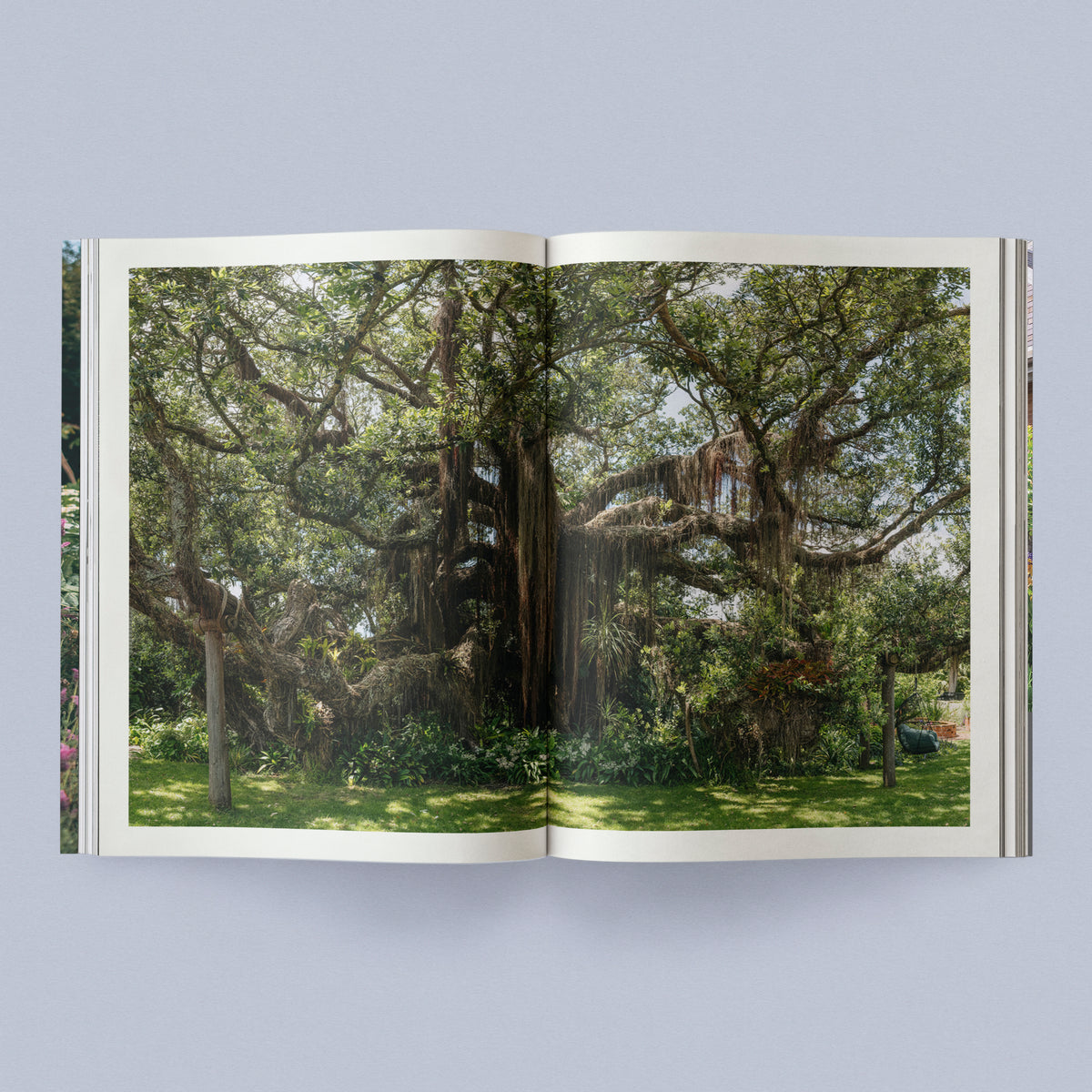 Sage Journal - Vol. 2: Our Creative Nature
