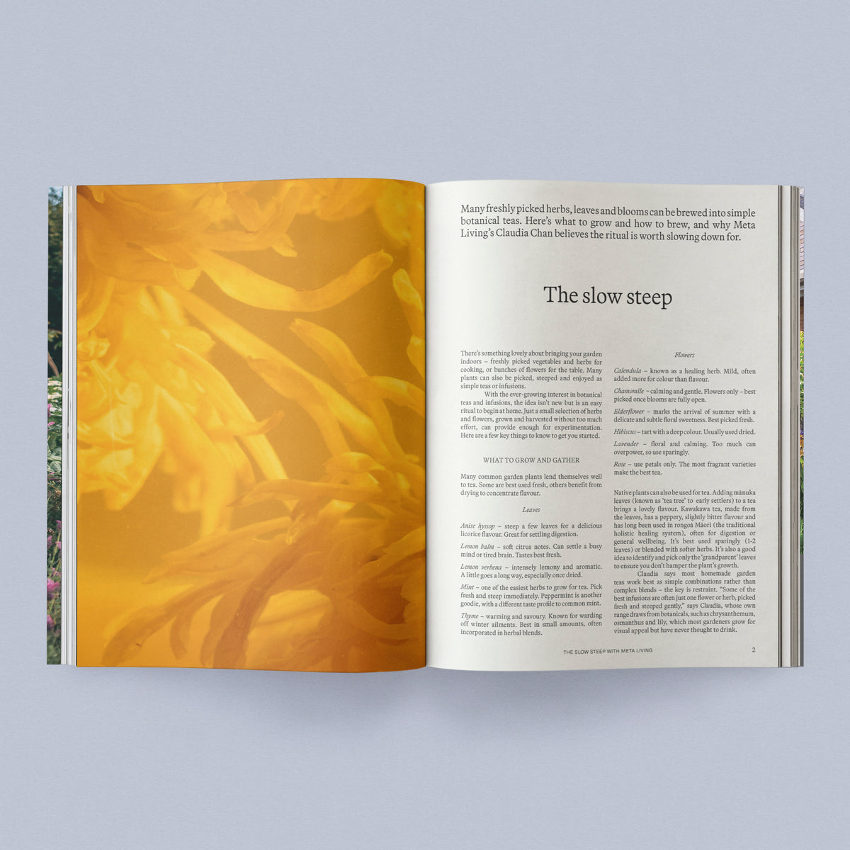 Sage Journal - Vol. 2: Our Creative Nature