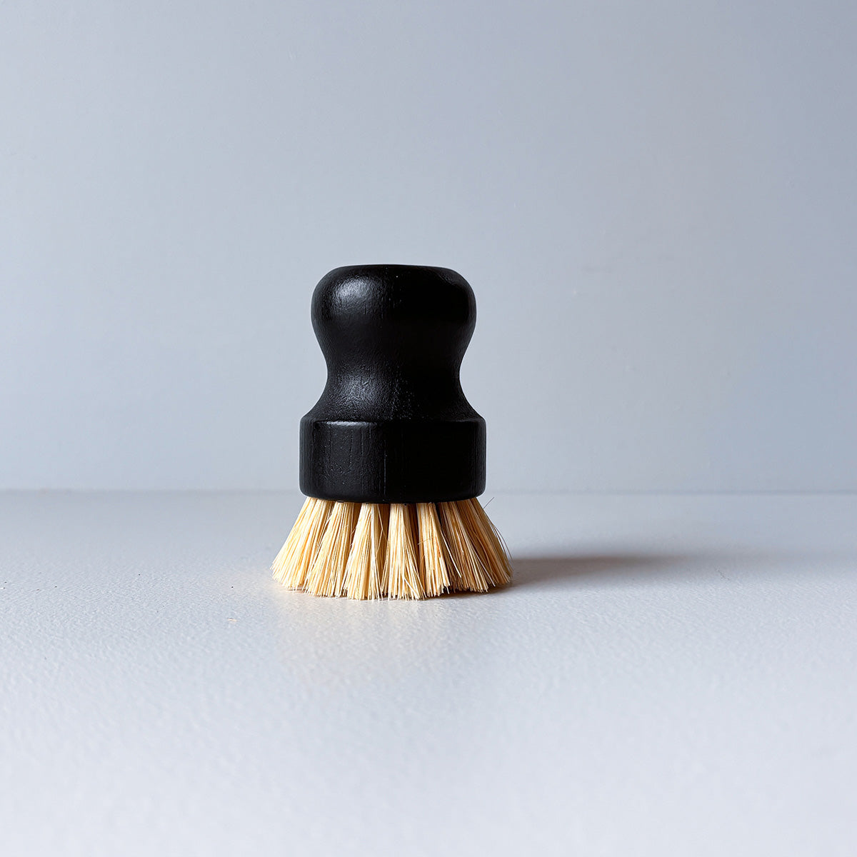 SIMPLE THINGS | PALM DISH BRUSH