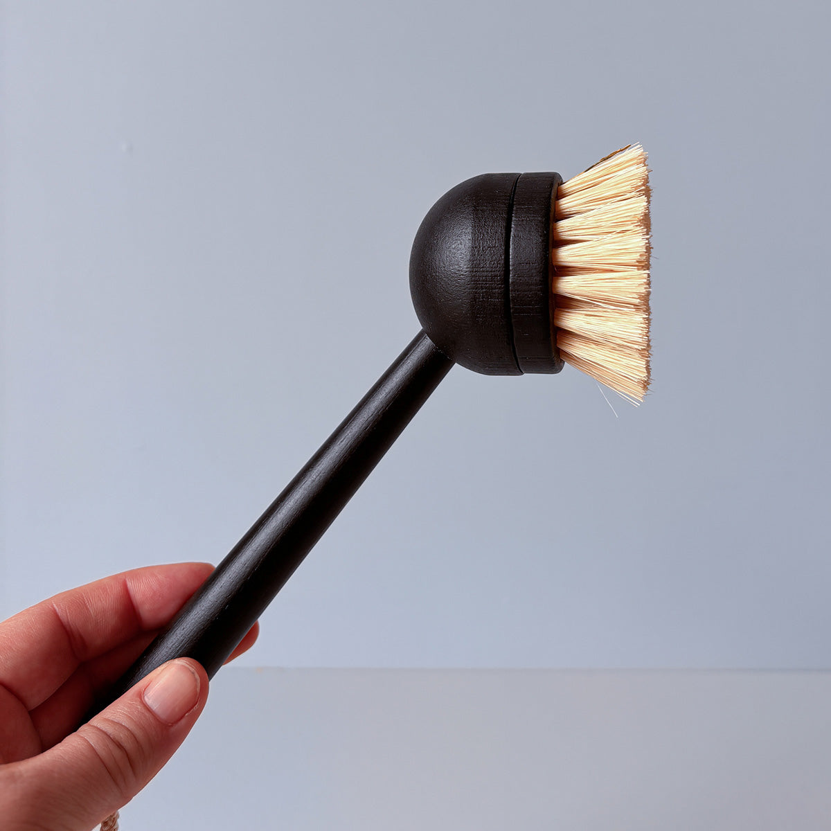 SIMPLE THINGS | DISH BRUSH