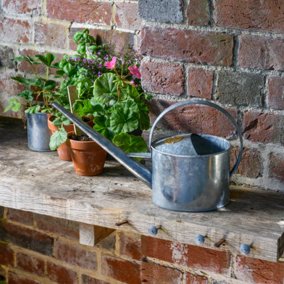 BURGON &amp; BALL |  GALVANISED INDOOR WATERING CAN