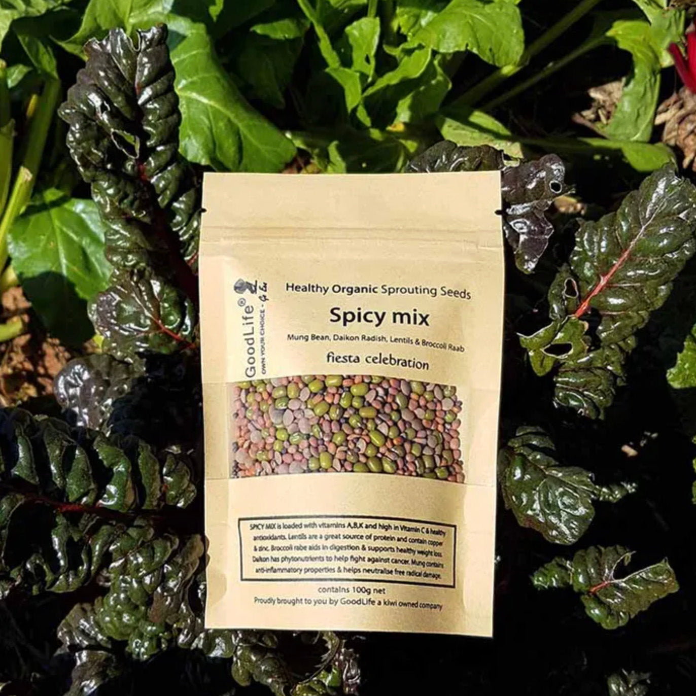 GOODLIFE | SPICY SPROUTING MIX