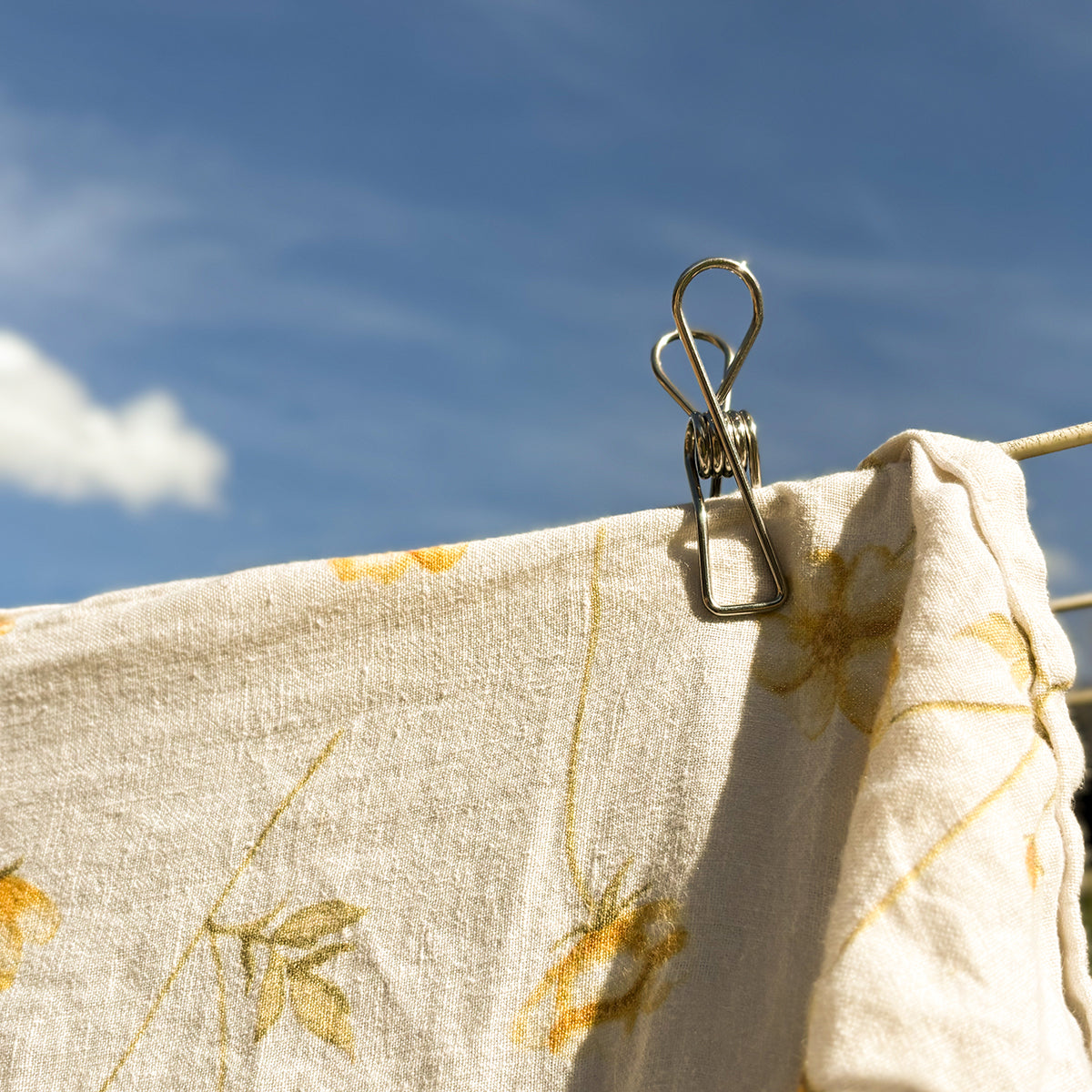 Stainless Steel Pegs Nz