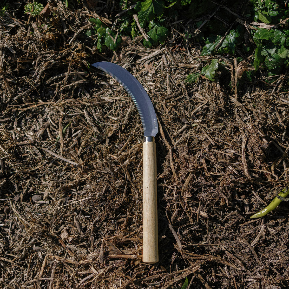 STAINLESS STEEL TOOTHED HARVESTING SICKLE