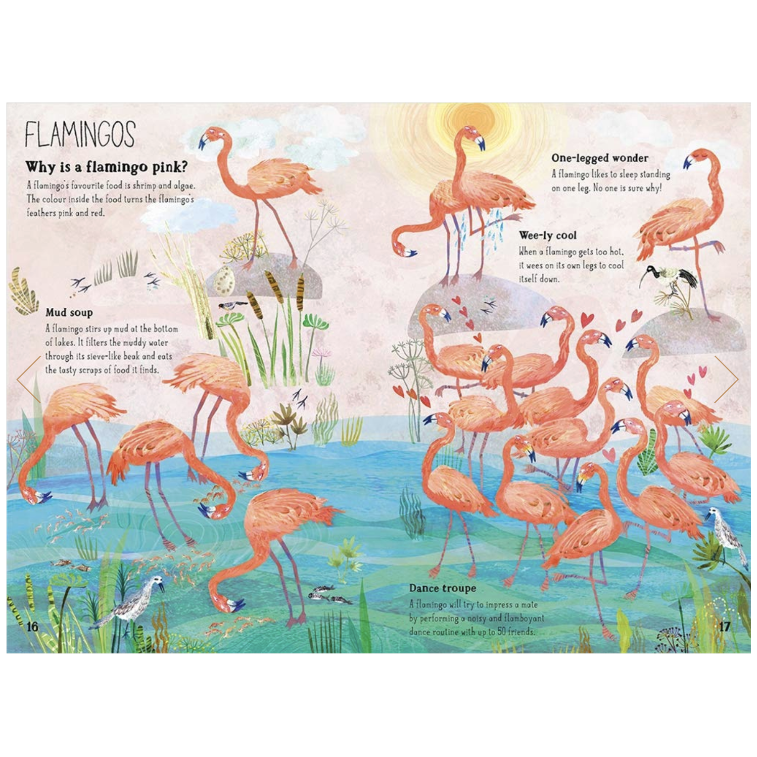 THE BIG BOOK OF BIRDS | YUVAL ZOMMER