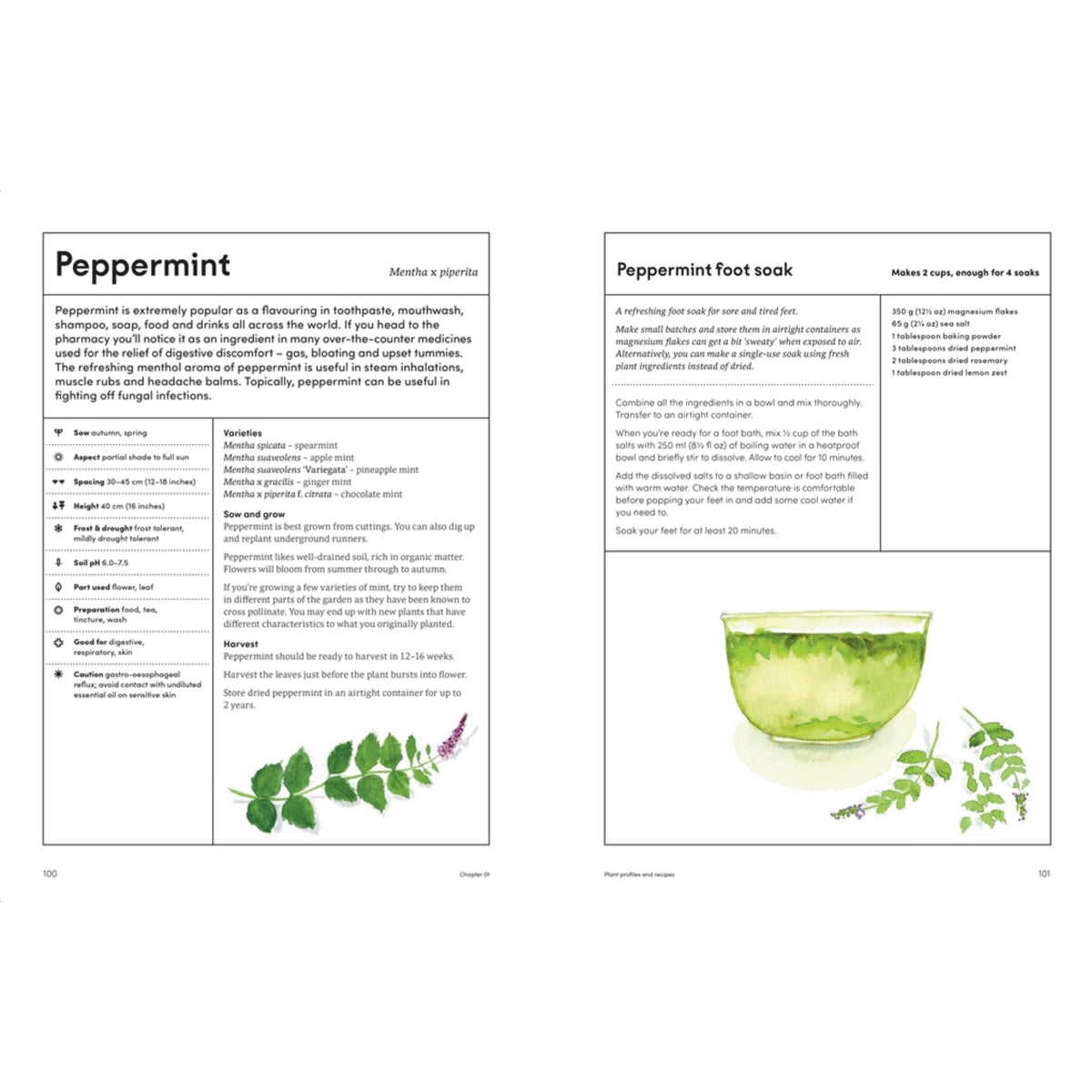 THE MEDICINAL GARDEN