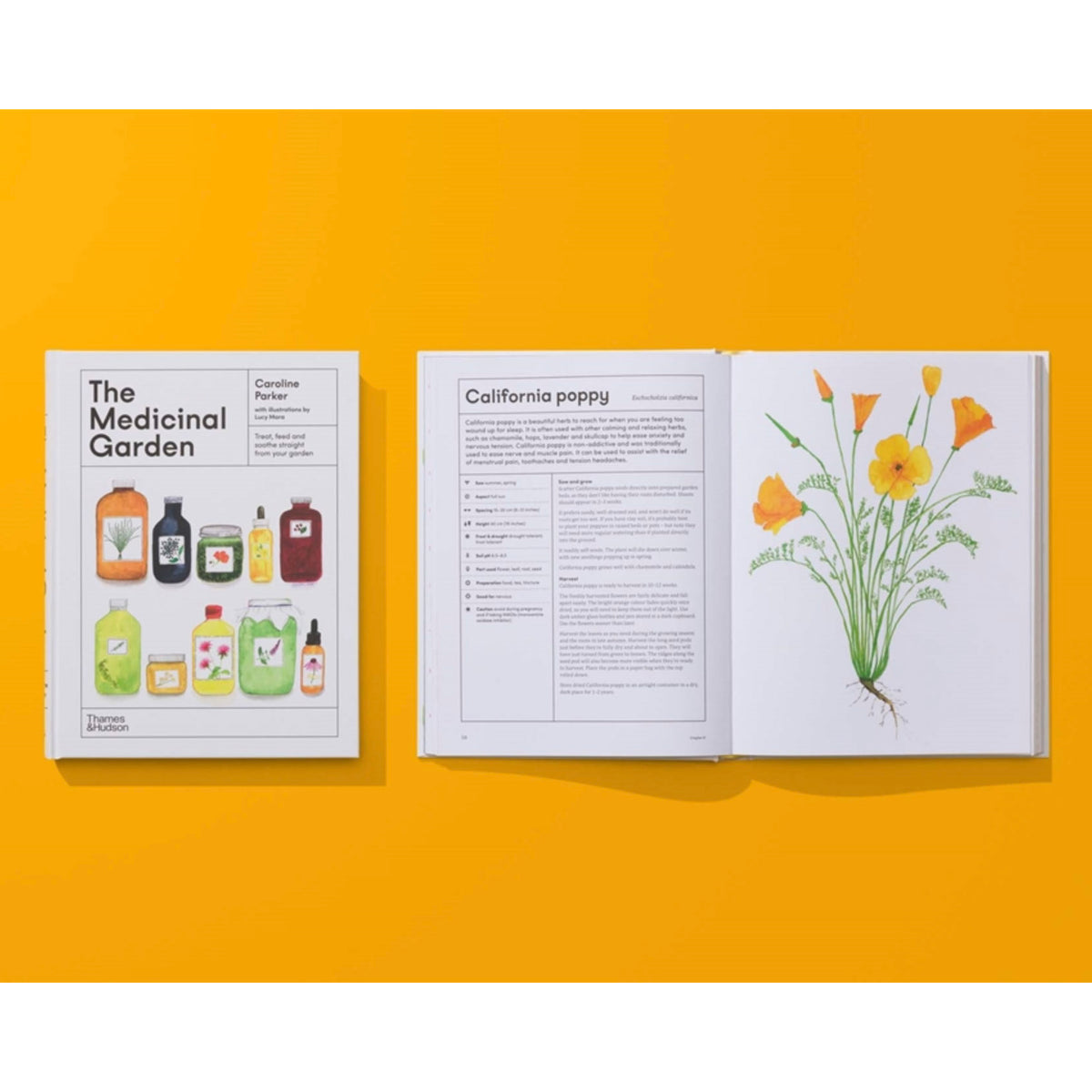 THE MEDICINAL GARDEN