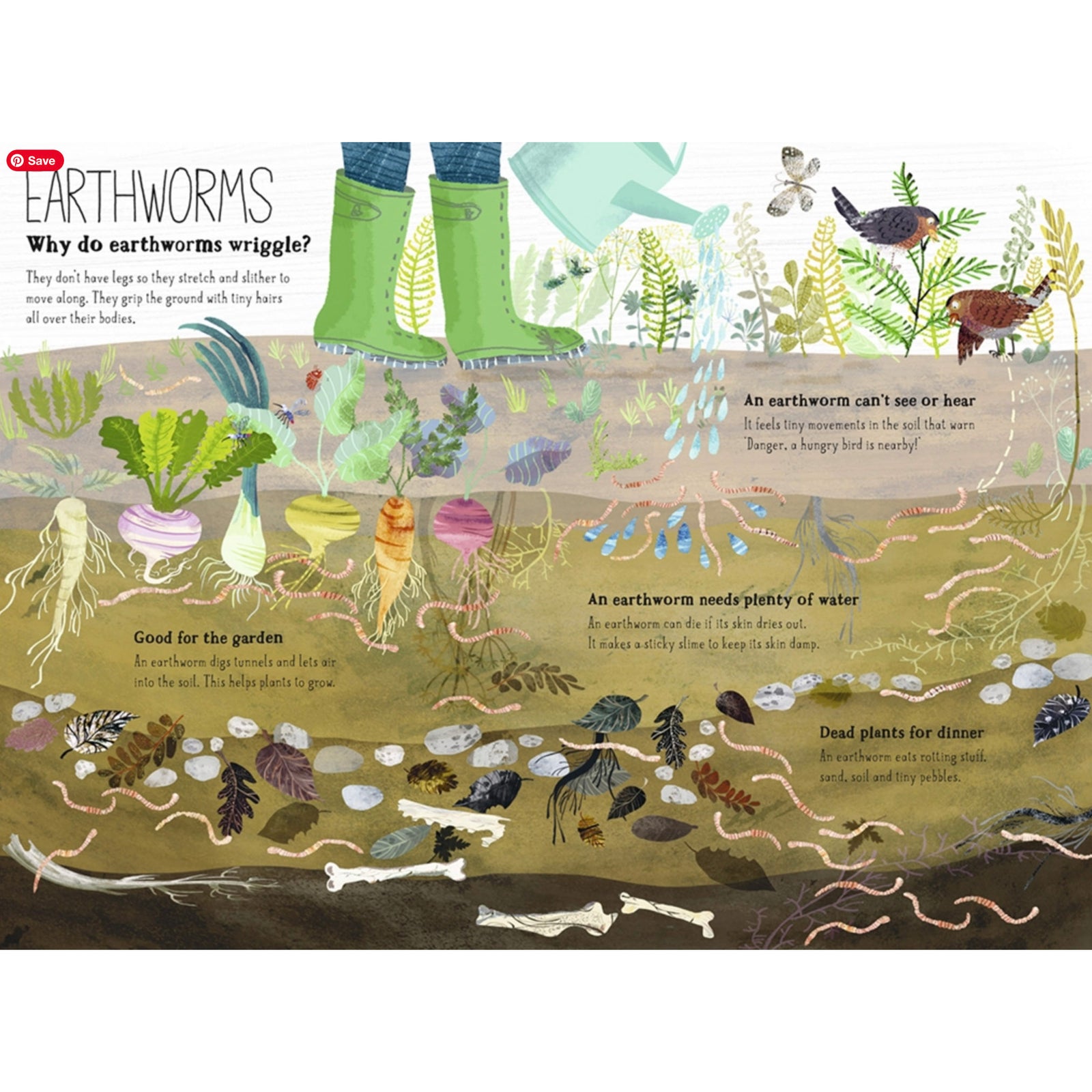 kids book about bugs and worms