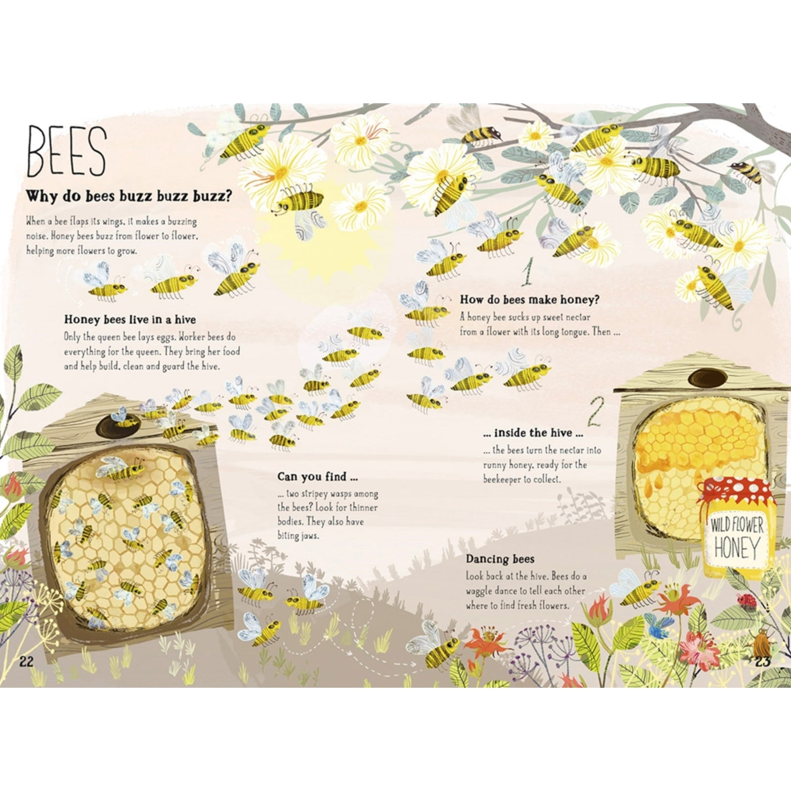 kids book about bees and bugs