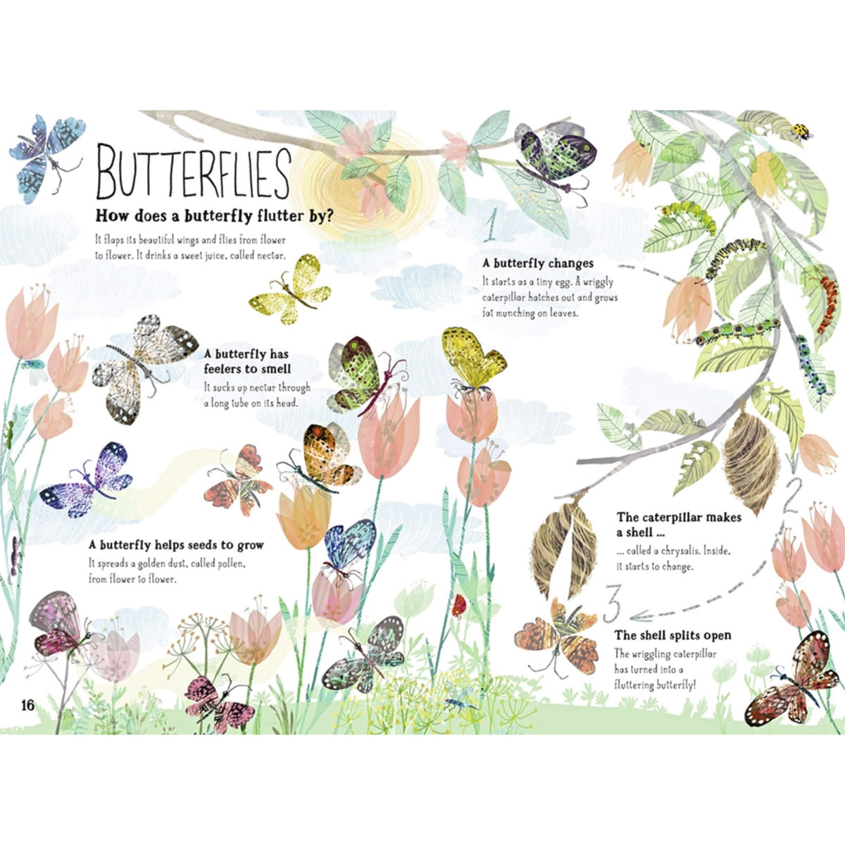 kids book about butterflys and bugs