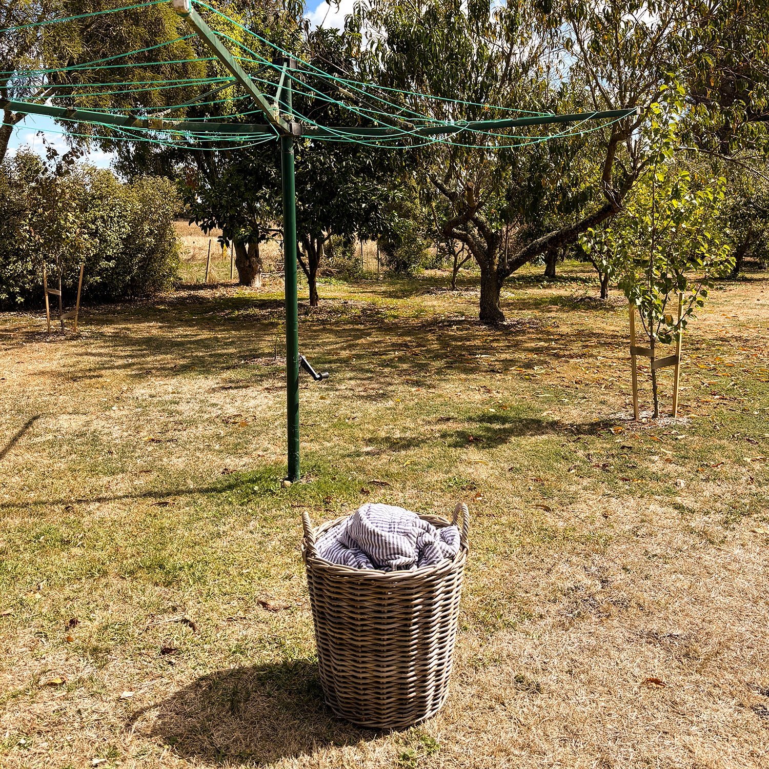 COMING SOON | RATTAN WASHING BASKET