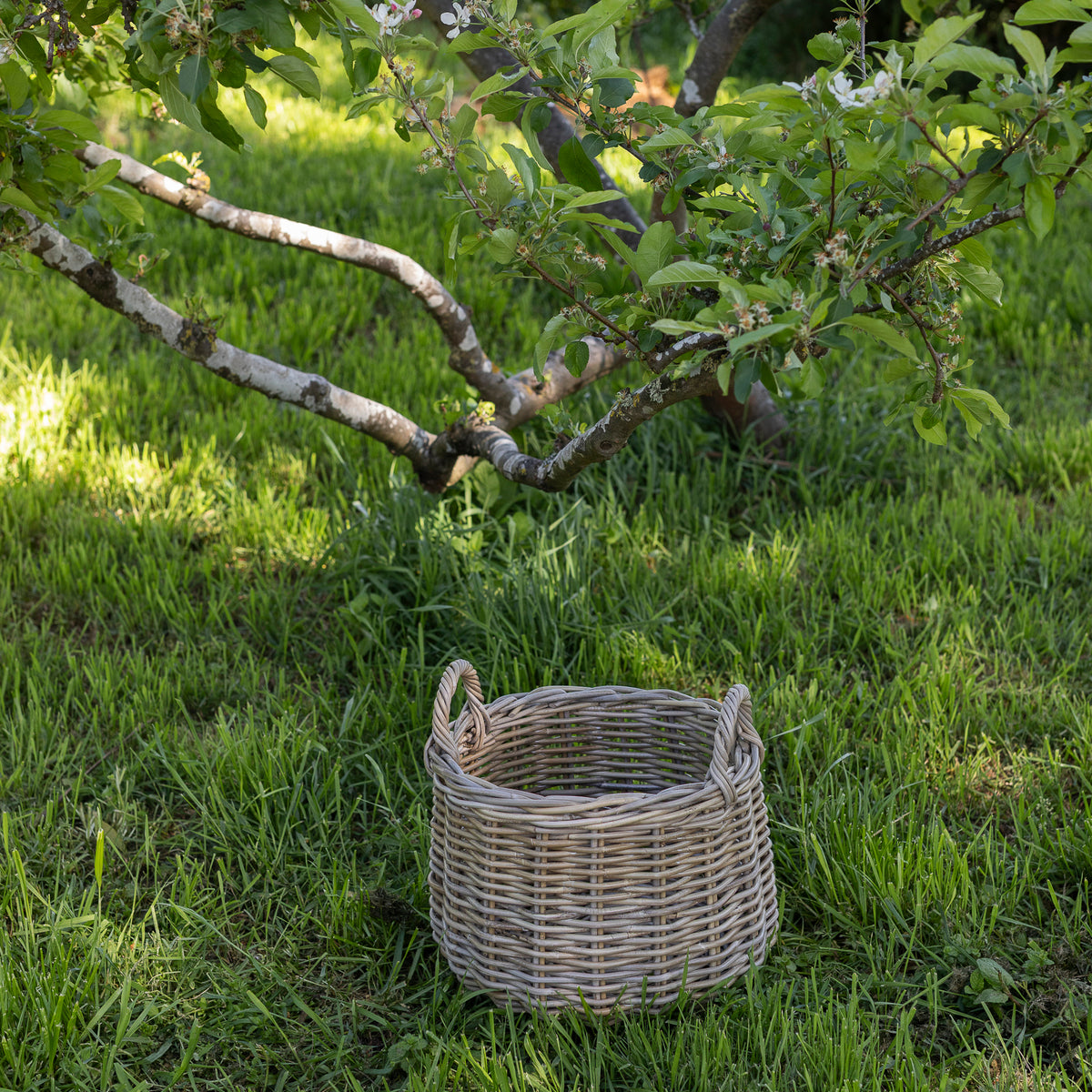 APPLE | ORCHARD BASKET