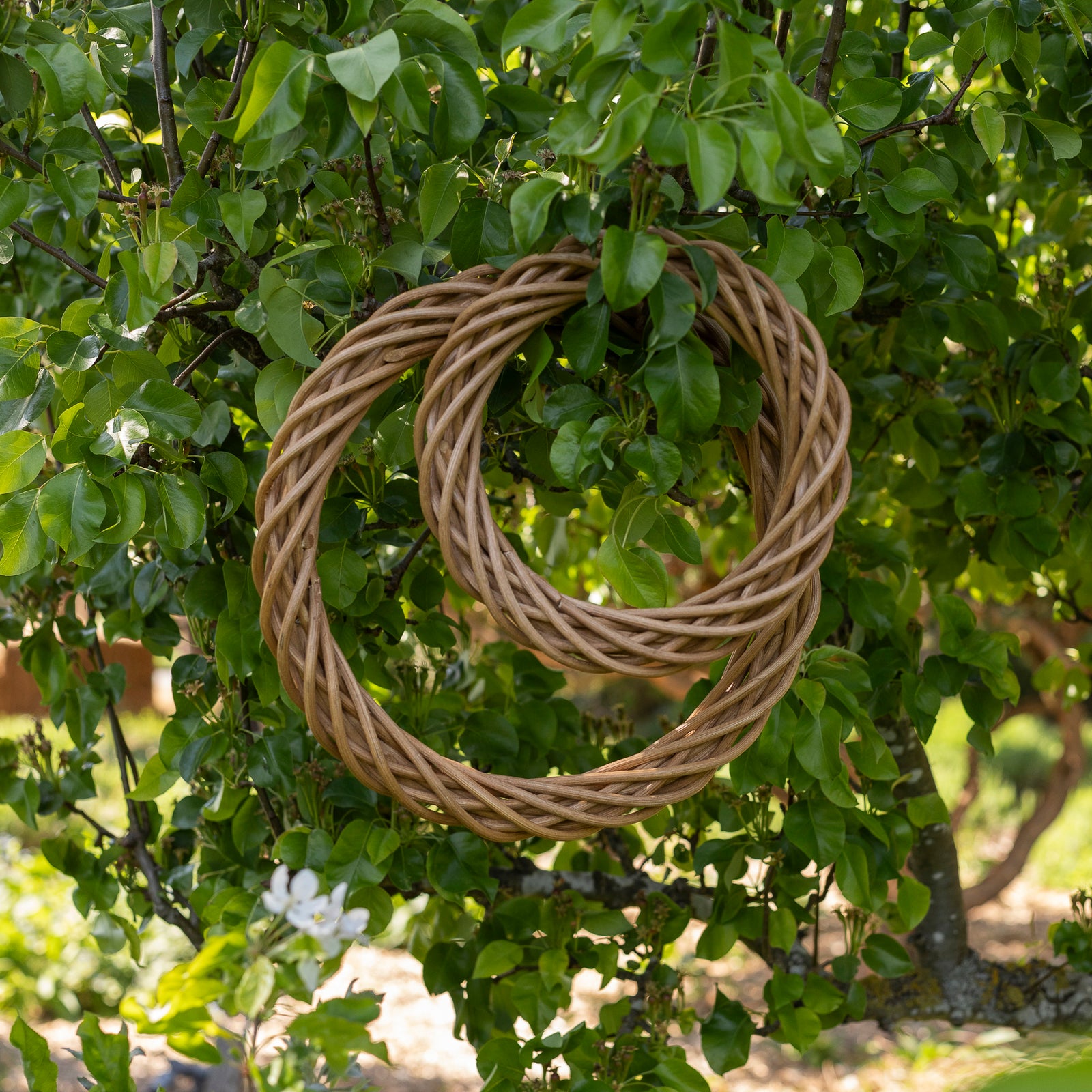 Plain Wreaths for decorating. Make your own Christmas Wreath.