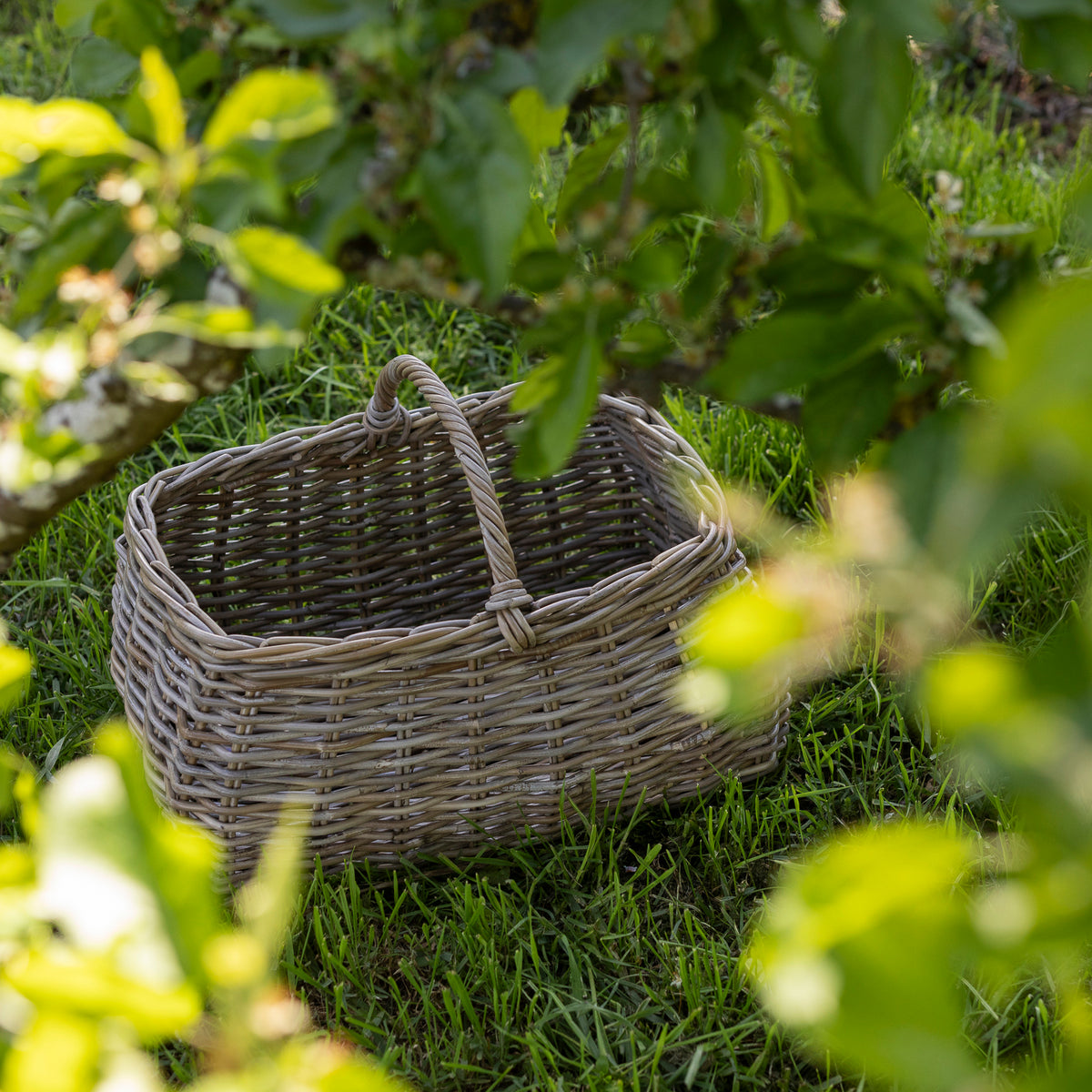 BETTY | RATTAN PICNIC BASKET