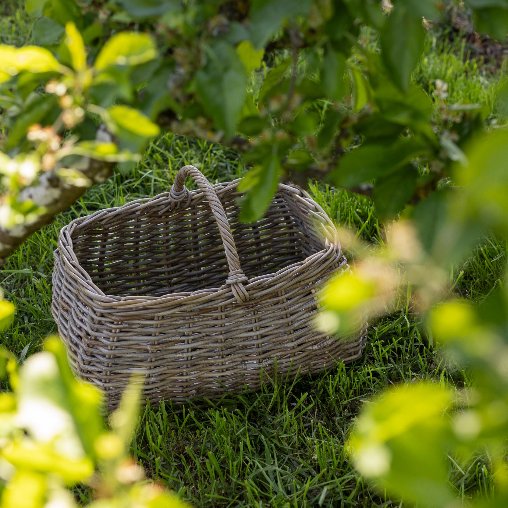 BETTY | RATTAN PICNIC BASKET