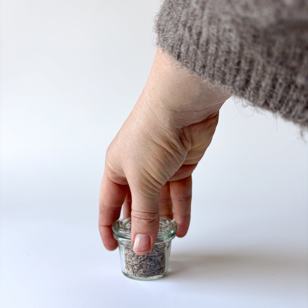 WECK | MINI MOLD JARS