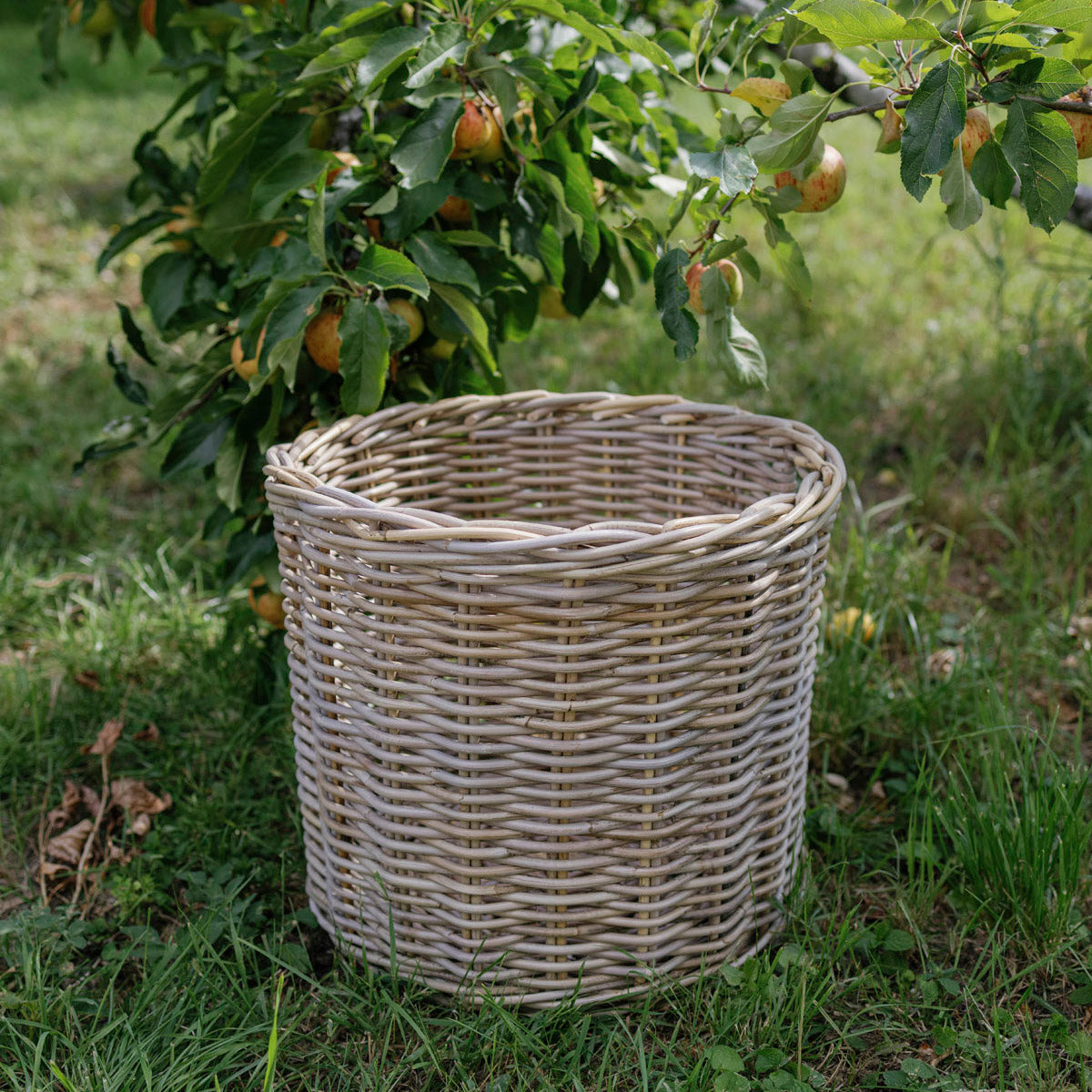 WEE GEORGE | RATTAN STORAGE BASKET
