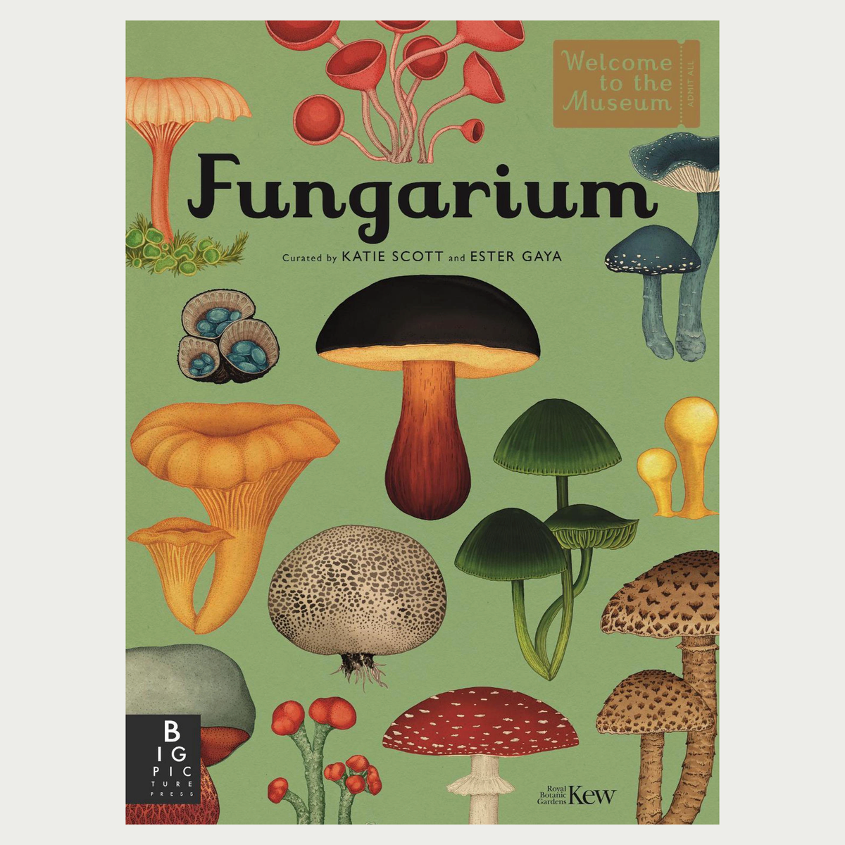 FUNGARIUM | WELCOME TO THE MUSEUM