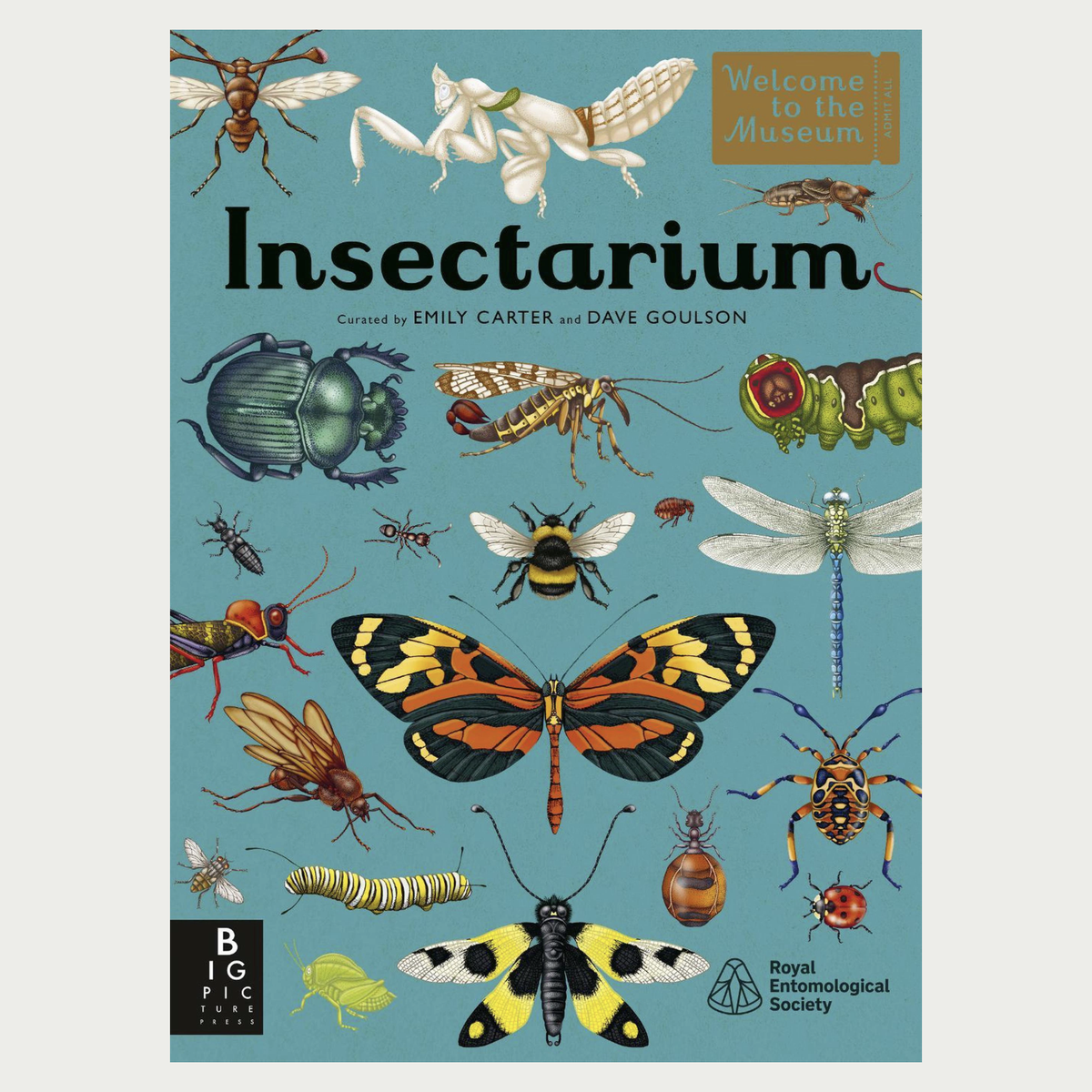 INSECTARIUM | WELCOME TO THE MUSEUM