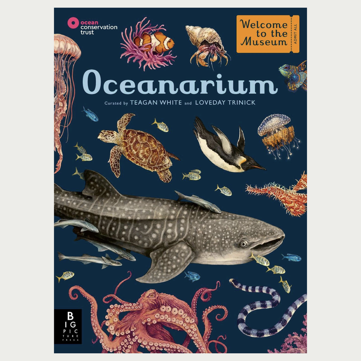 OCEANARIUM | WELCOME TO THE MUSEUM