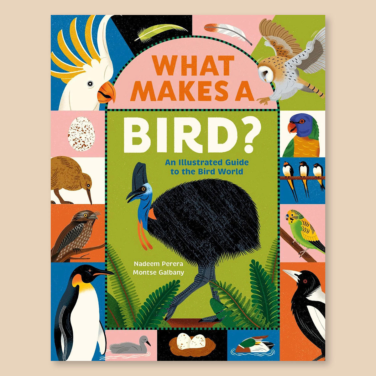 WHAT MAKES A BIRD? An illustrated guide to the bird world