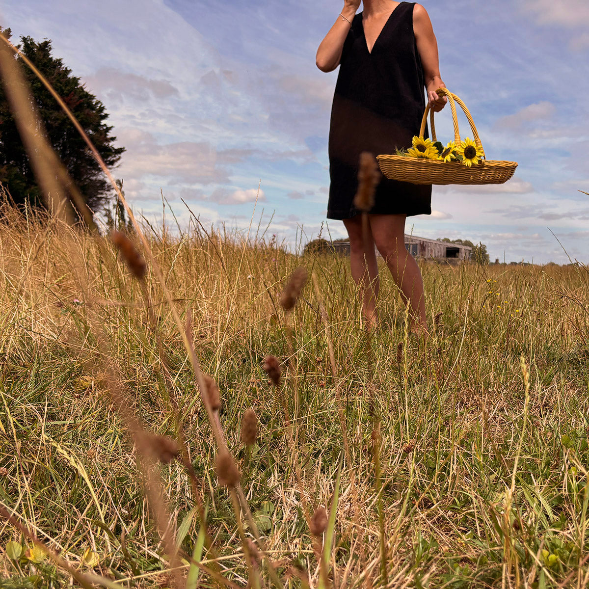 DAHLIA | GARDEN &amp; FLOWER TRUG