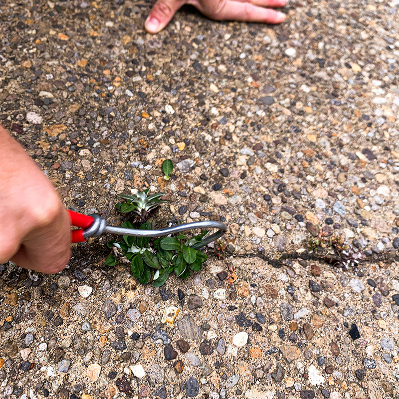 Wonderweeder gardening tool