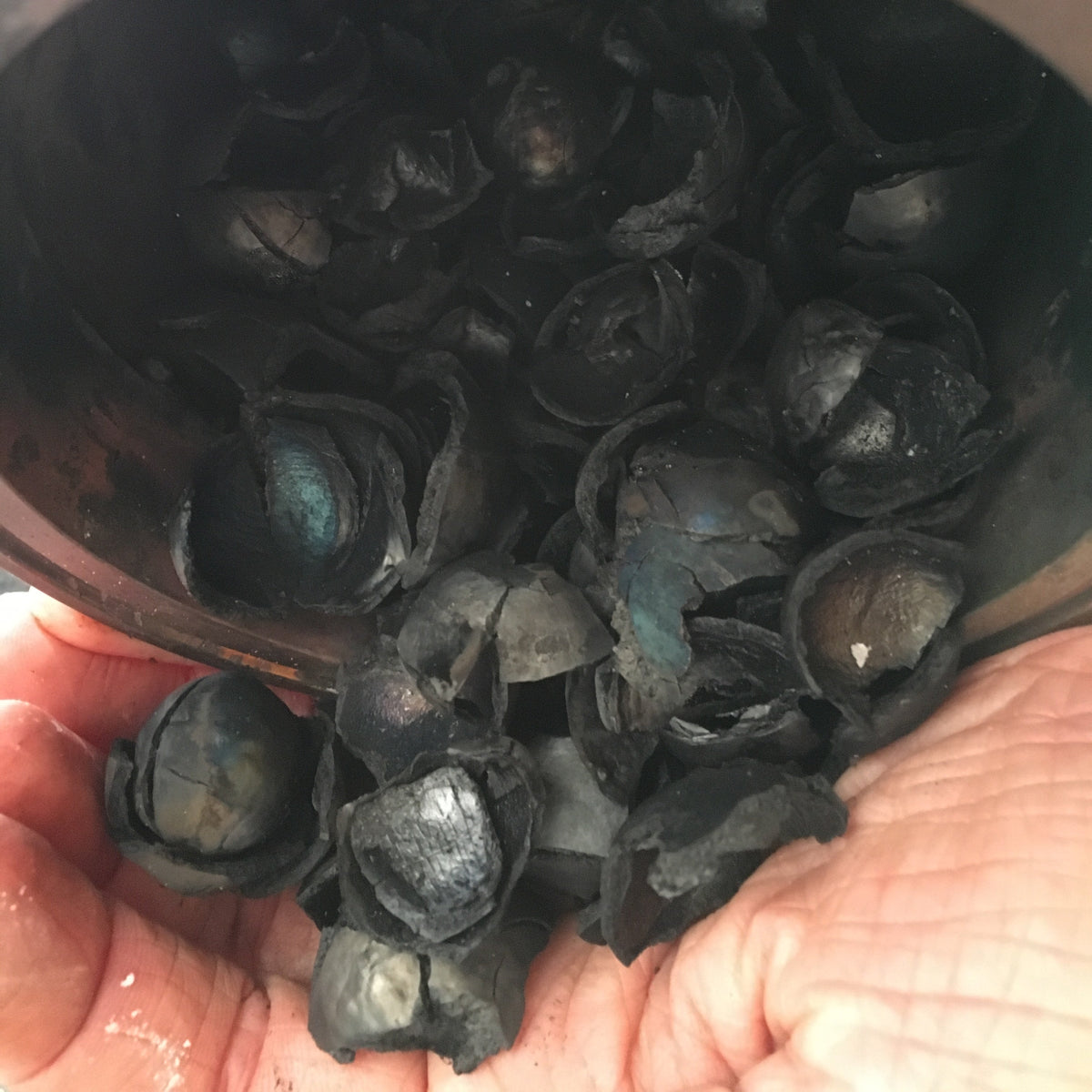 CRAFTY GATHERER | BIOCHAR BURNER