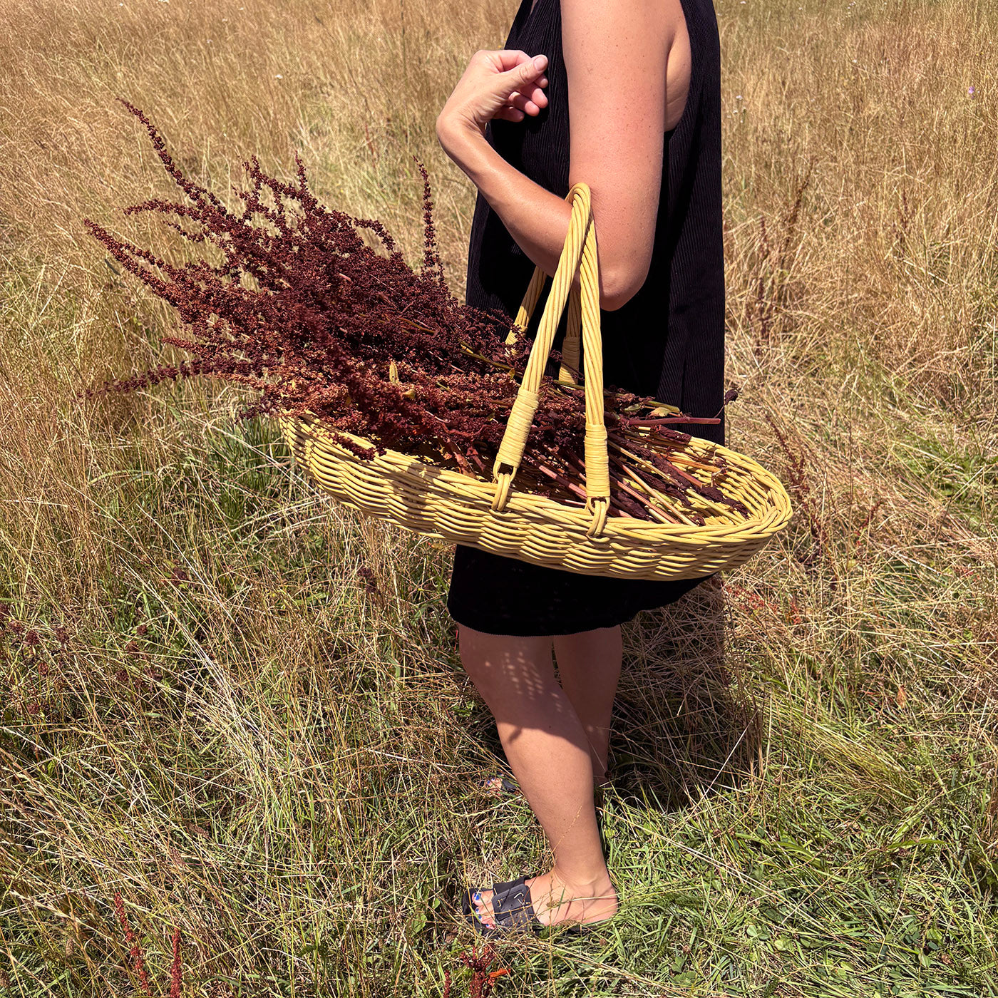 DAHLIA | GARDEN & FLOWER TRUG