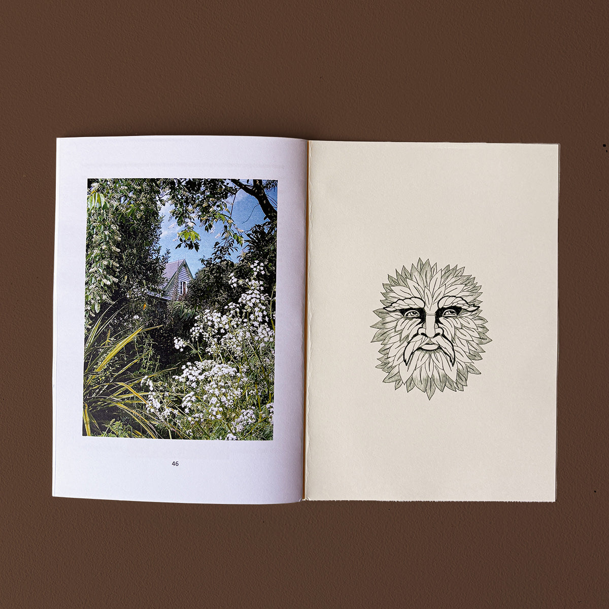 THE ESSENTIAL FOREST GARDENER