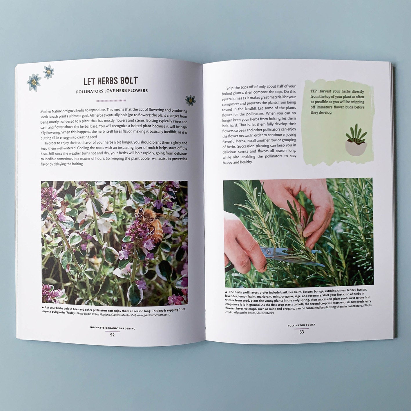 NO-WASTE ORGANIC GARDENING