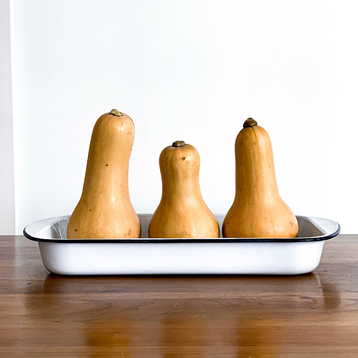 enamel roasting dish